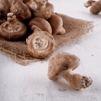 [롯데ON][토담골]양양 해풍담은 생표고 1kg (상품)
